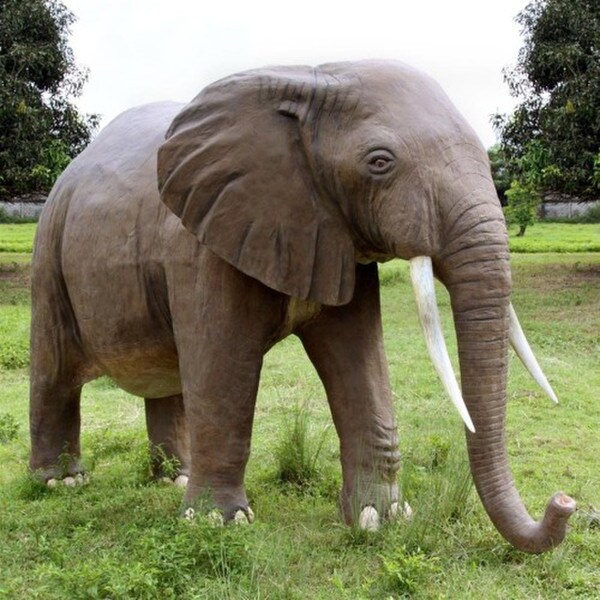 Enormous African Elephant